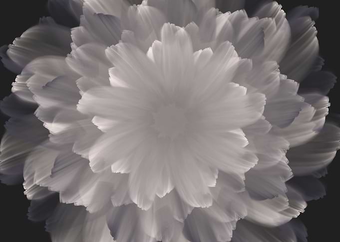 Soul flower