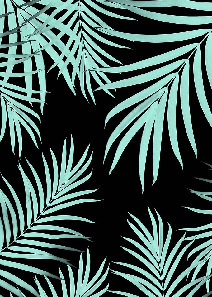 Palm Leaves Pattern 6