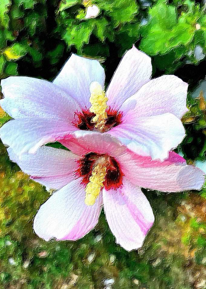 Twin Flame Flowers of Love