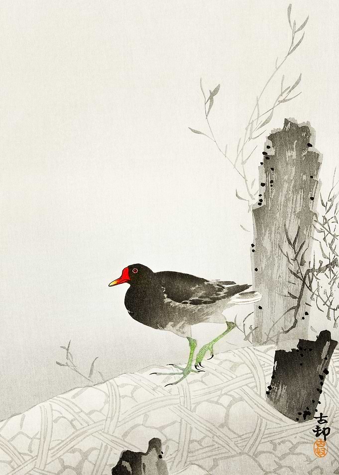 Black bird japanese art