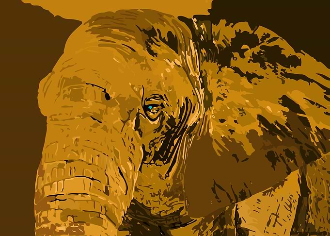 Elefante