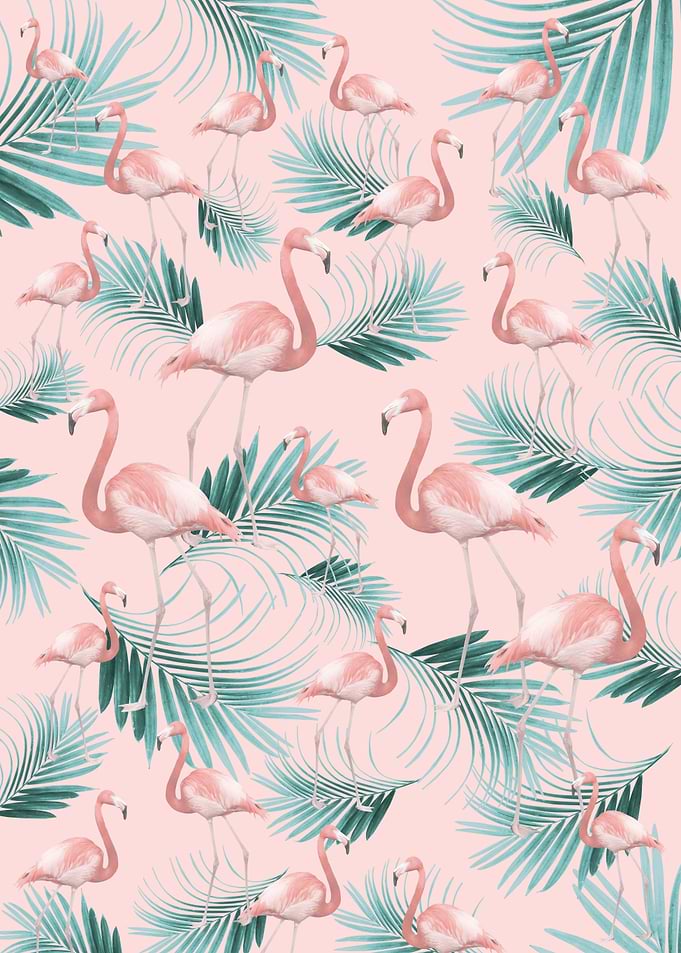 Blush Flamingo Vibes 2