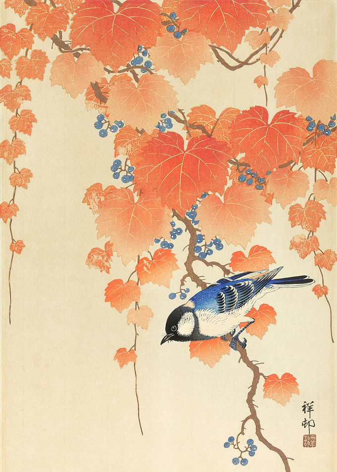 Colorful bird on a tree