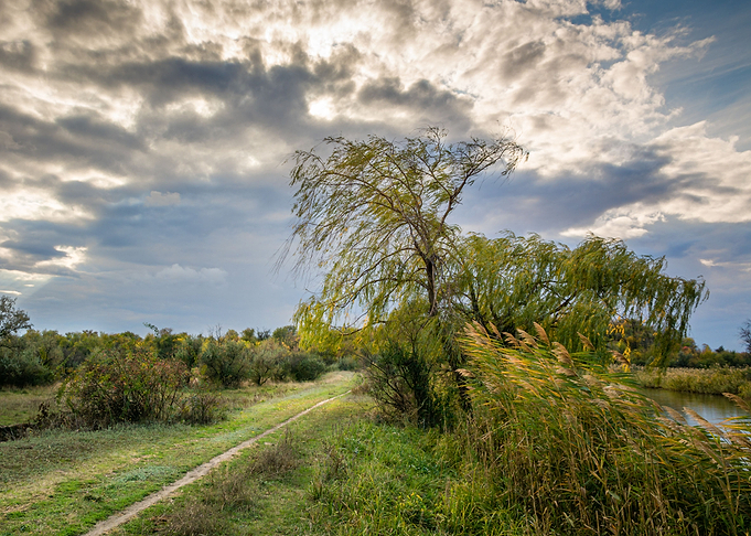 Autumn landscape