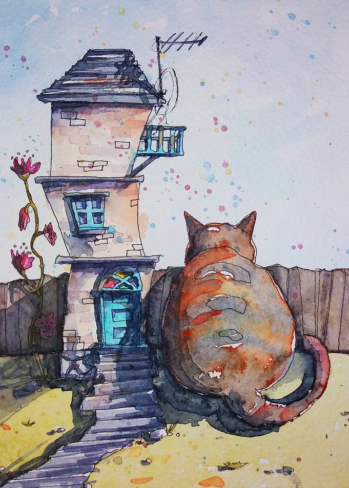 Home cat