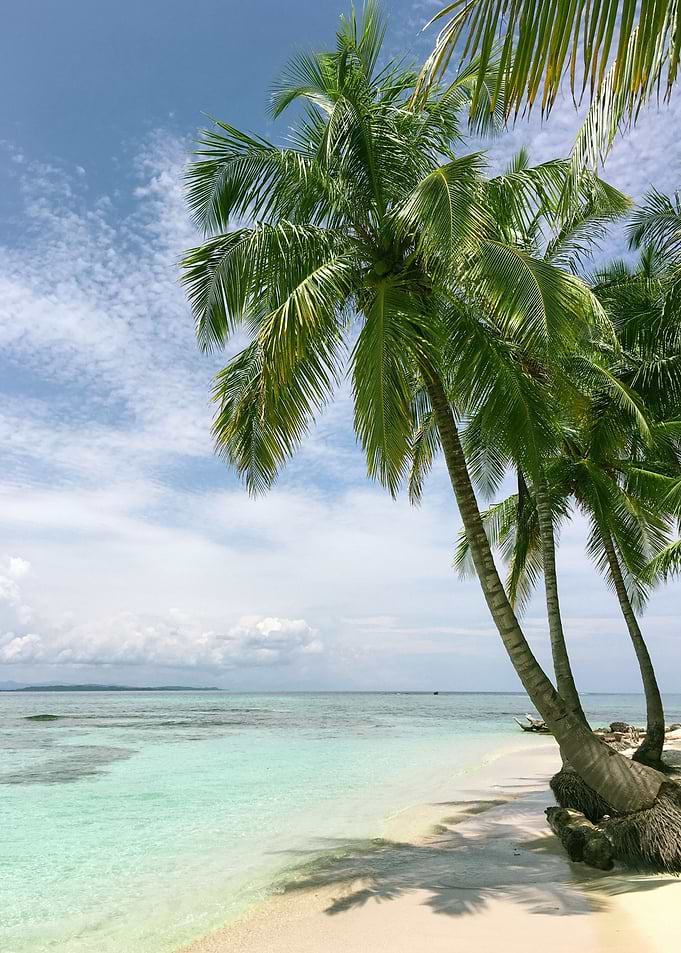 Palm Beach Paradise