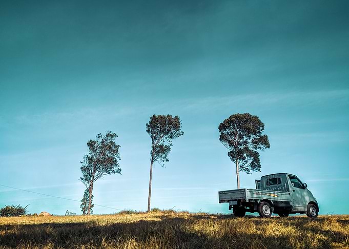 Landscape Teal Brown