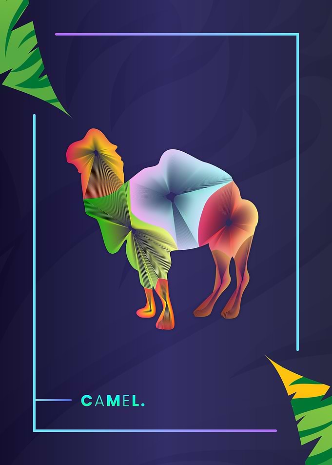 Camel Colorful Line Art
