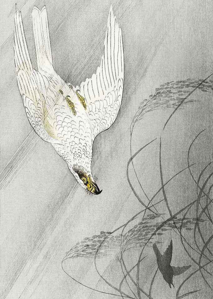 Hawk hunting Japanese art