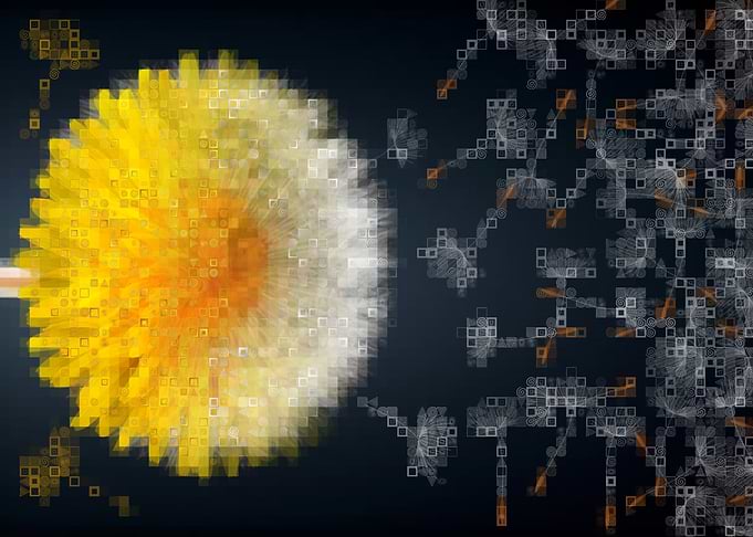 Dandelion gold white