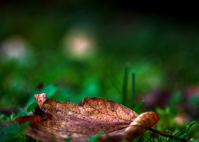 Autumn impressions