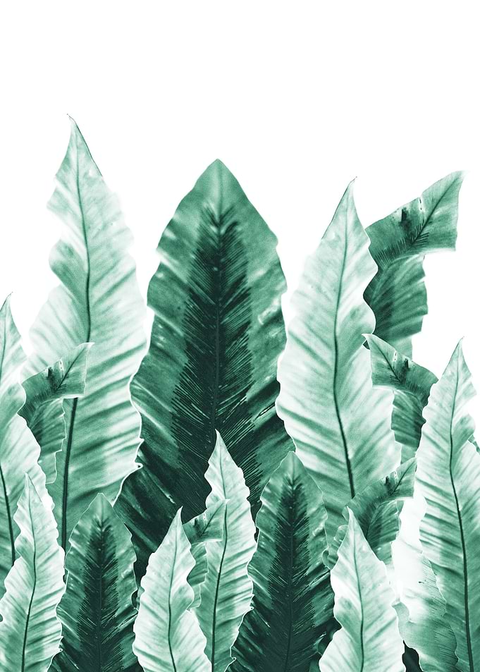 Underwater Leaves Vibes 2