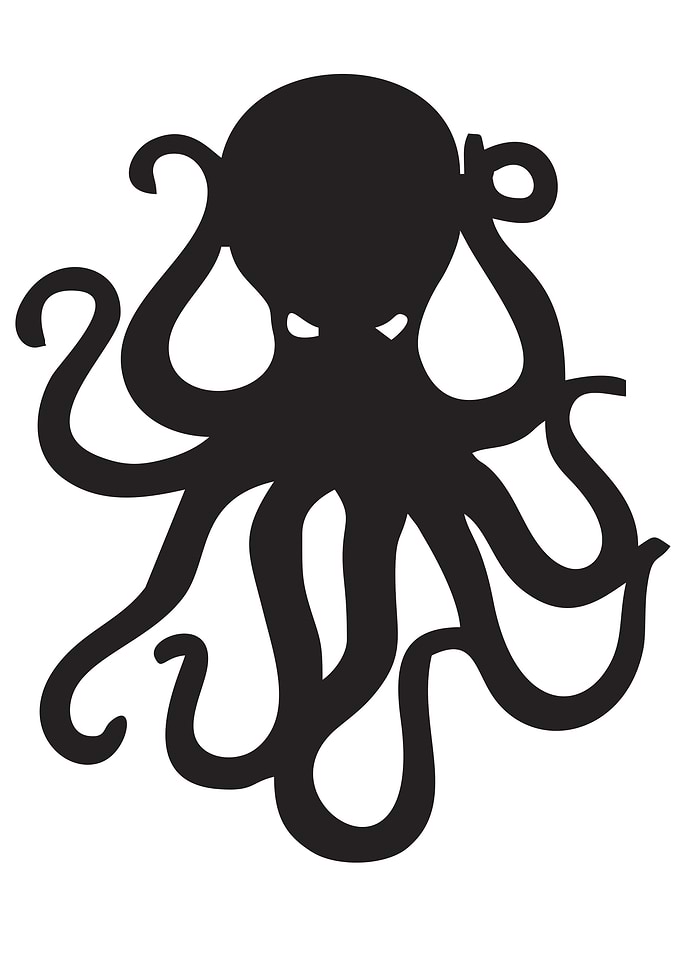 Mark Octopus