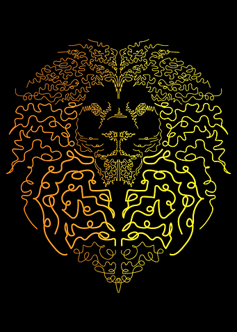 Lion head in the dark
