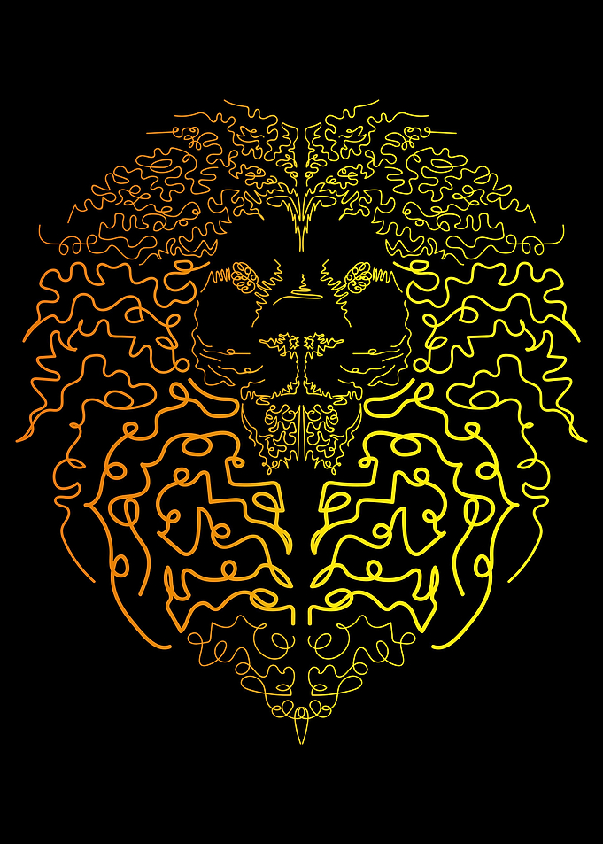 Lion head in the dark