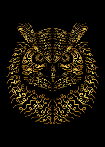 Hand Drawn Owl Head