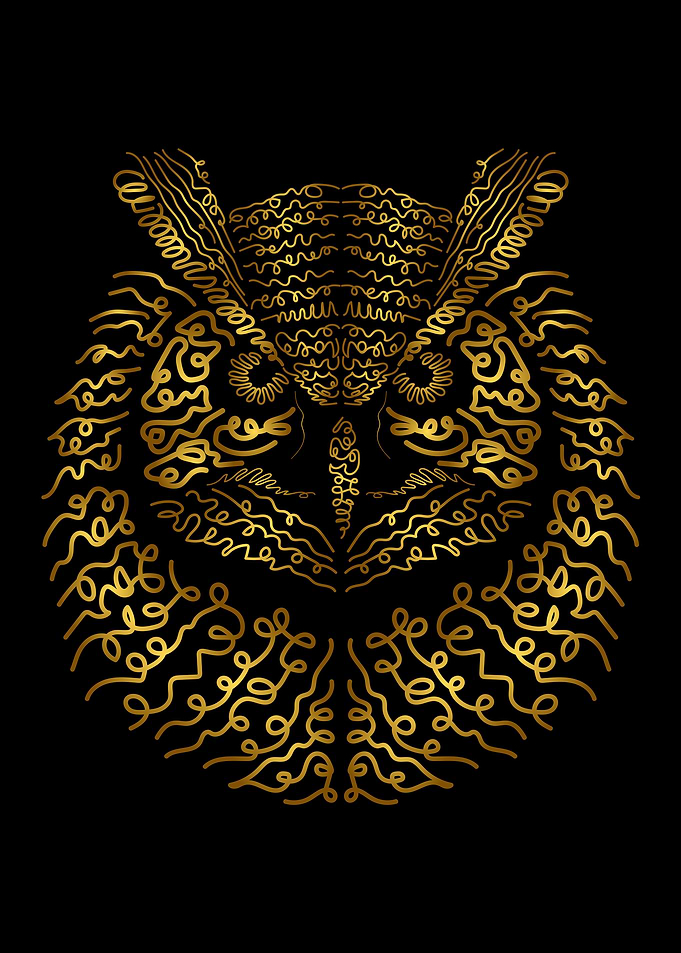 Hand Drawn Owl Head