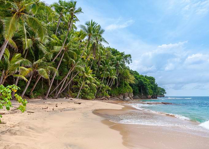 Paradise island palm Beach