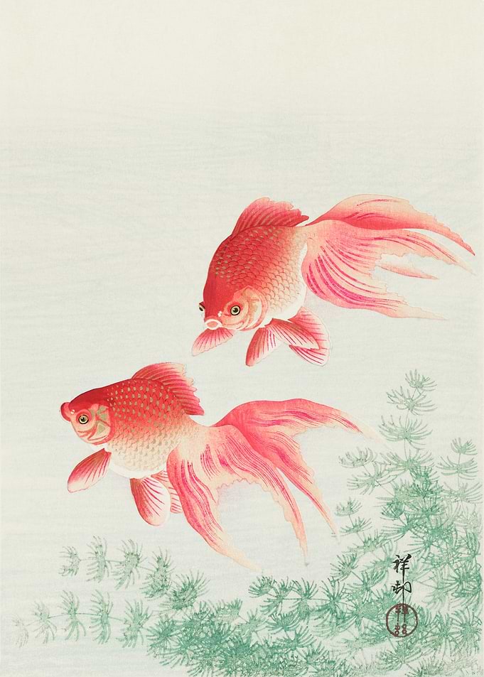 Goldfish Japanese woodcut