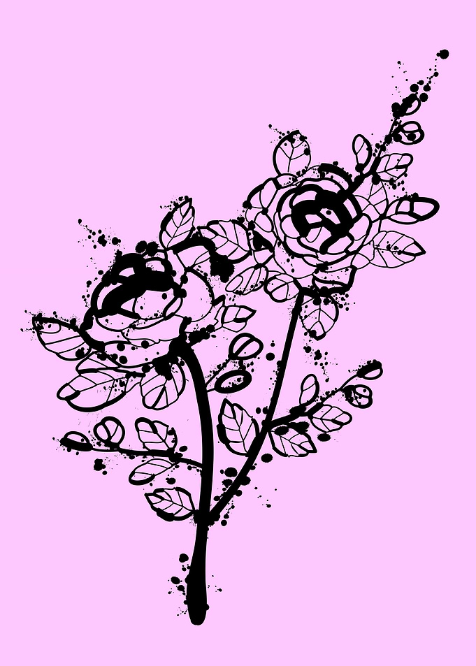 June birth flower rose