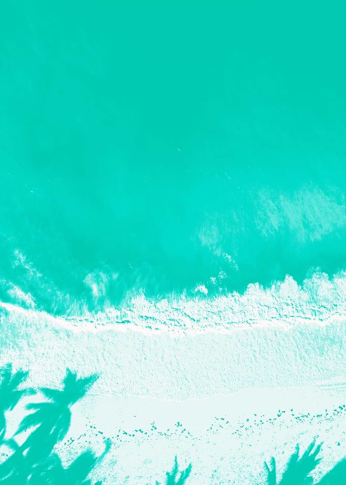 Seasalt