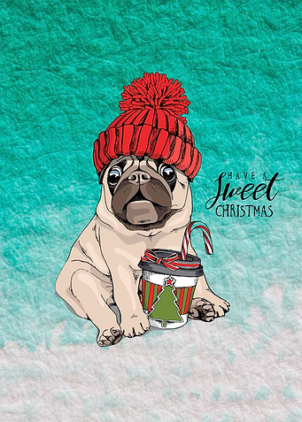 Adorable Beige Puppy Pug