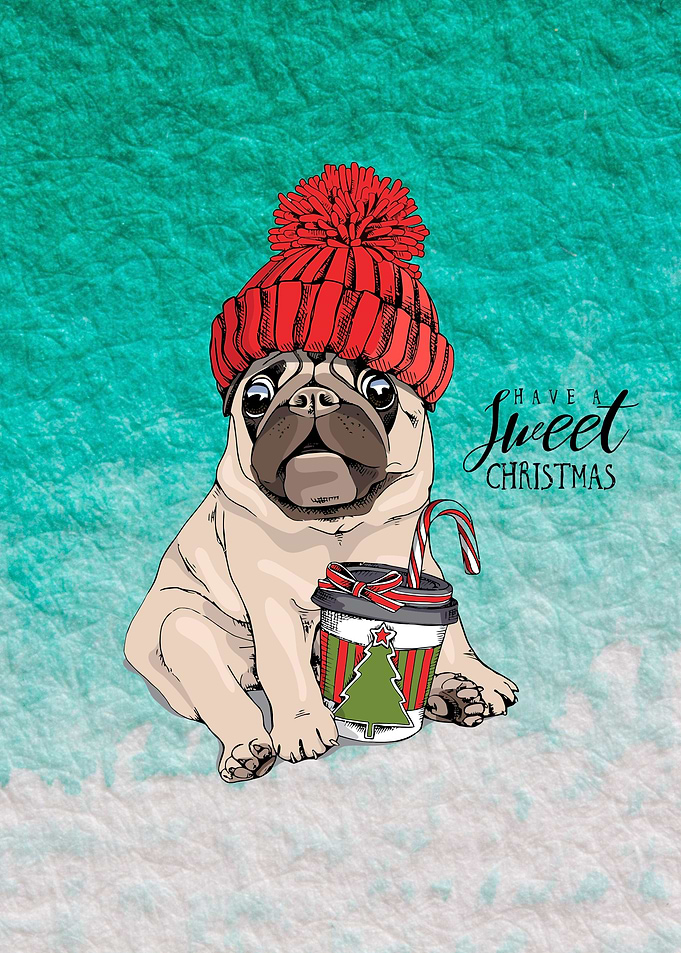 Adorable Beige Puppy Pug