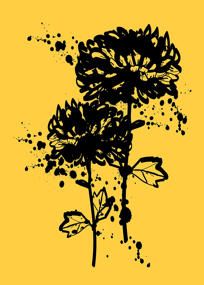 The Chrysanthemum