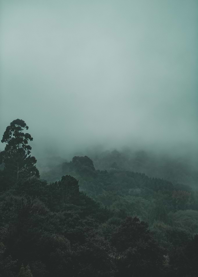 The Mist
