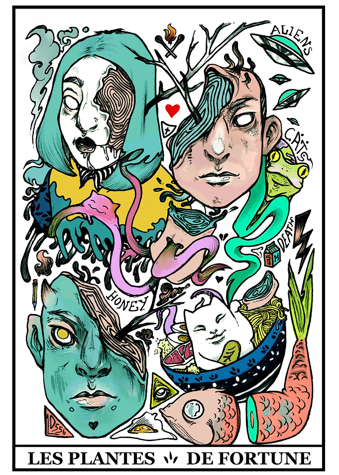 LES PLANTES DE FORTUNE