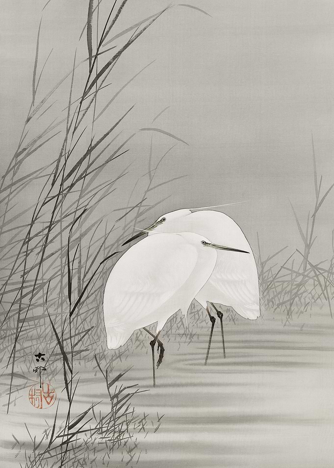Egrets in swamp woodblock