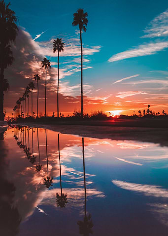 Paradise Road