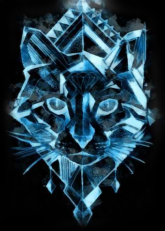 Geometric cat
