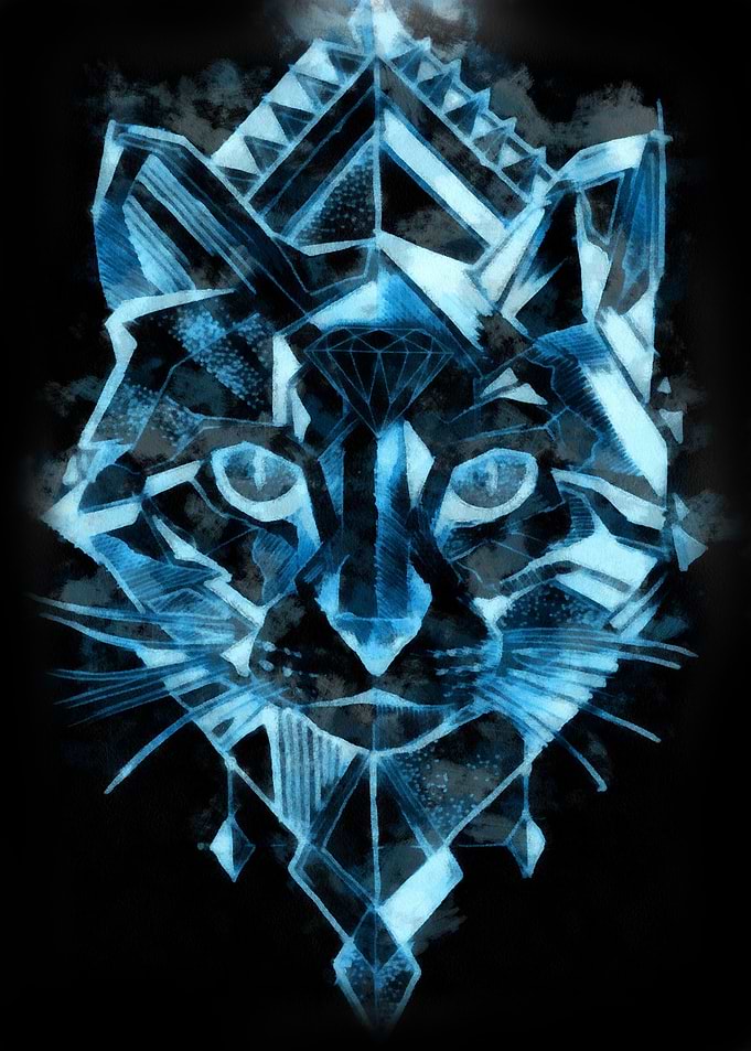 Geometric cat