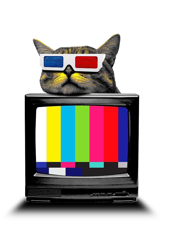 3D kitty