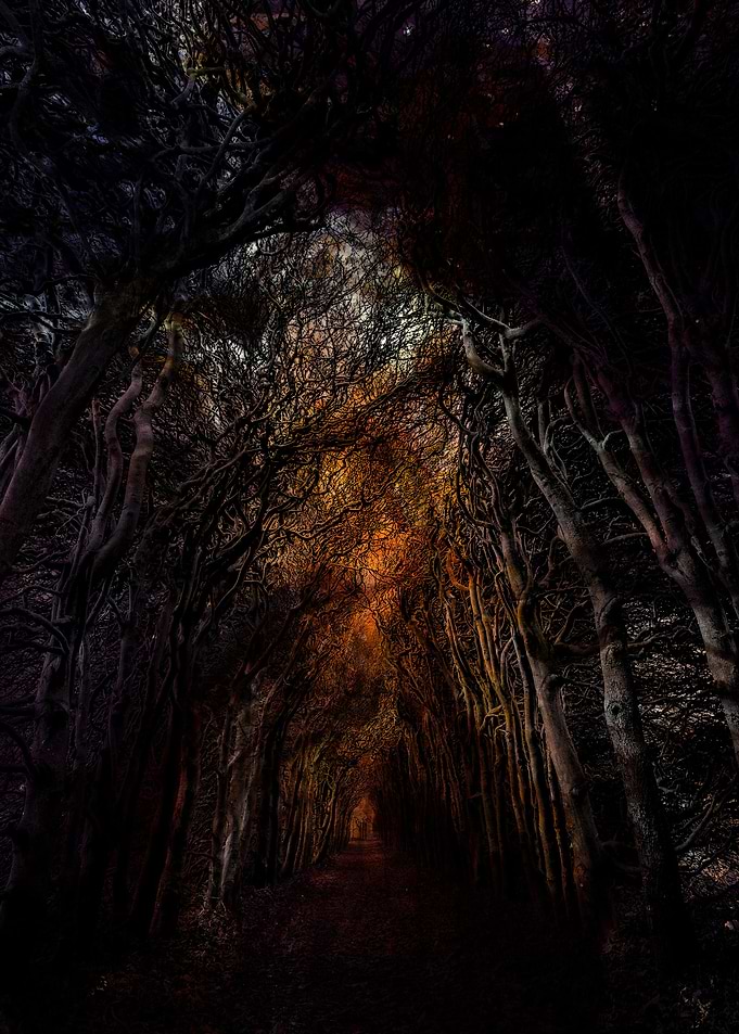 The light at the end