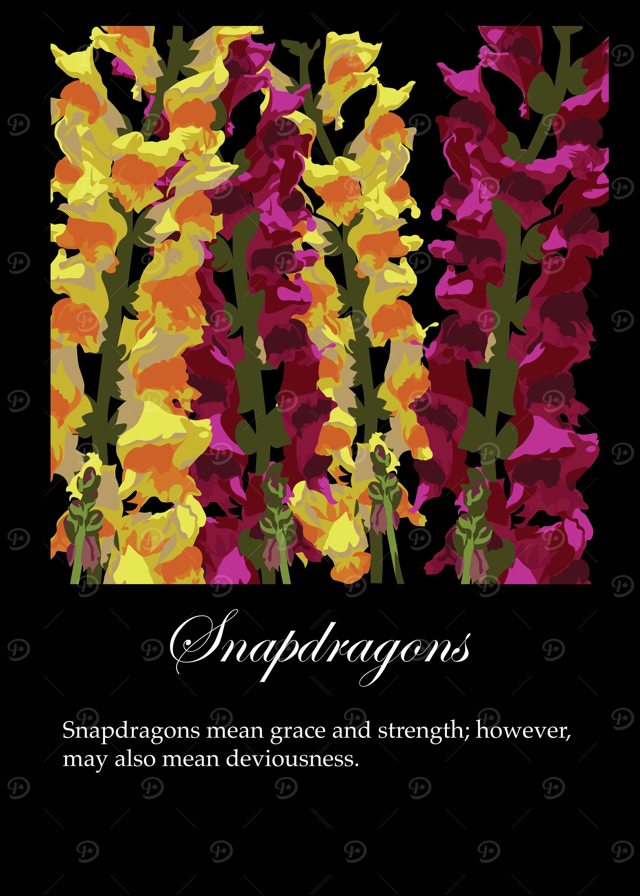 Snapdragons poster