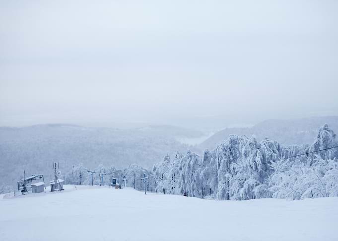 Winter nature scene