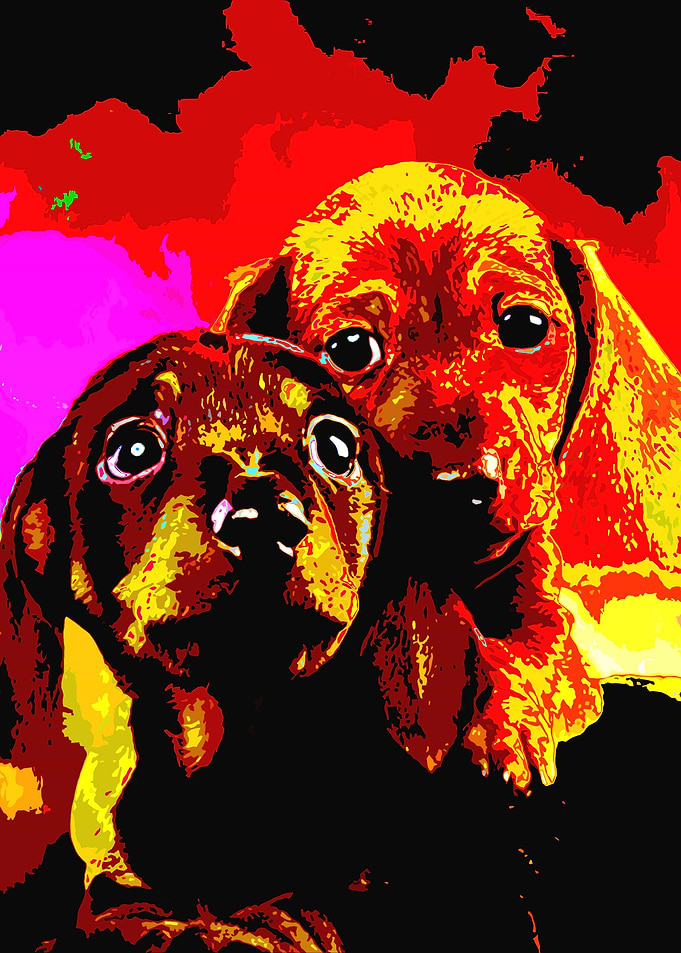 Puppy Love