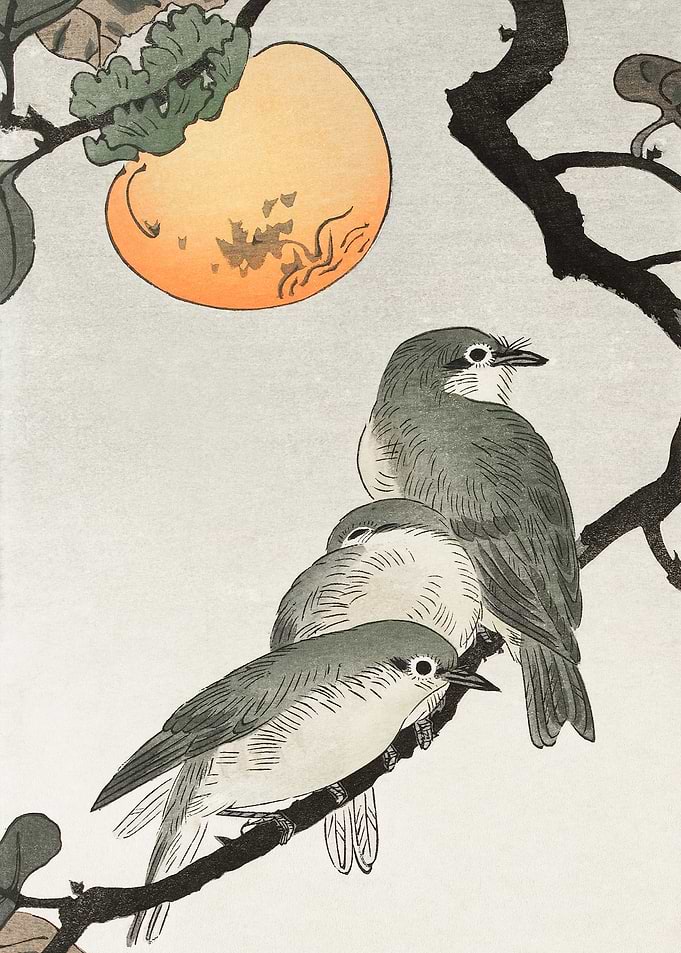 Birds on kaki tree woodcut