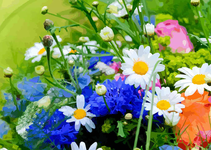 Flowers