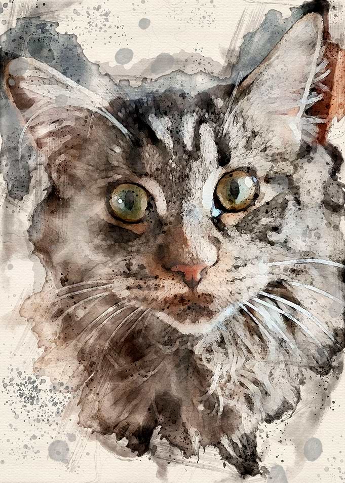 Mew our noble lady cat