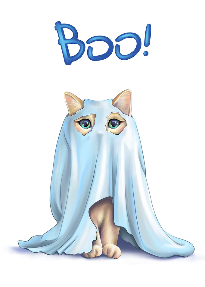 Cat ghost