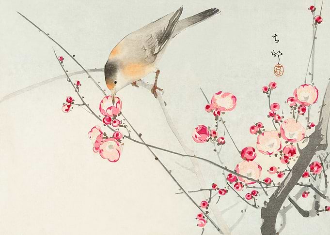 Bird on peach tree woodcut