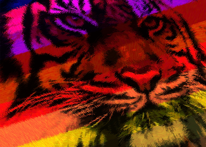 TIGRE BLACK COLOR TRACES