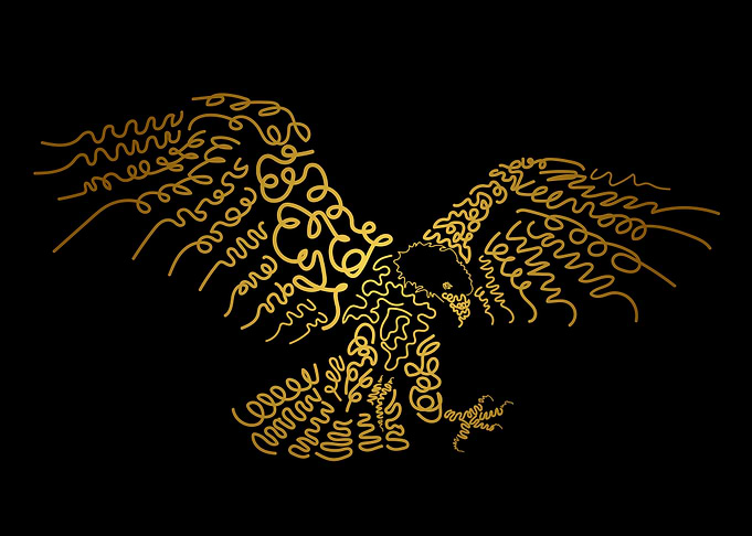 Eagle in the dark