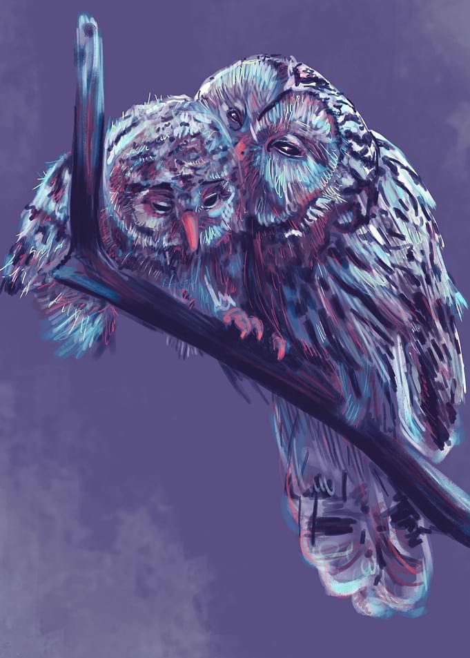 Owls
