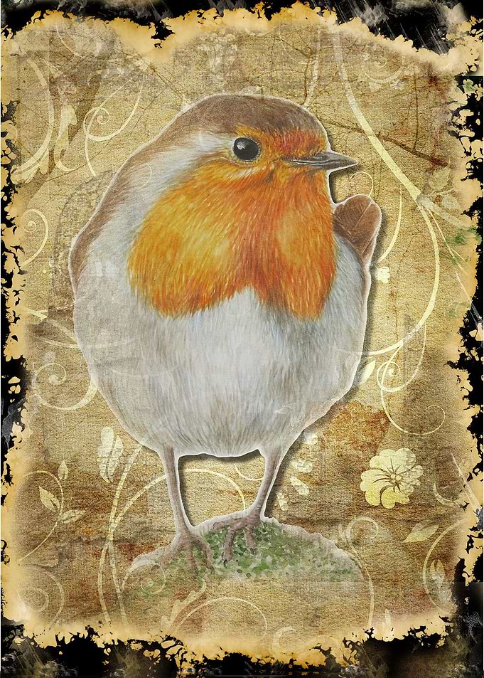 Little Robin Redbreast
