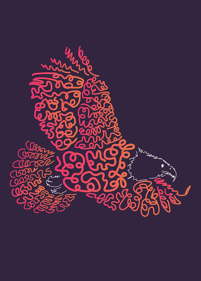 Eagle bird fly