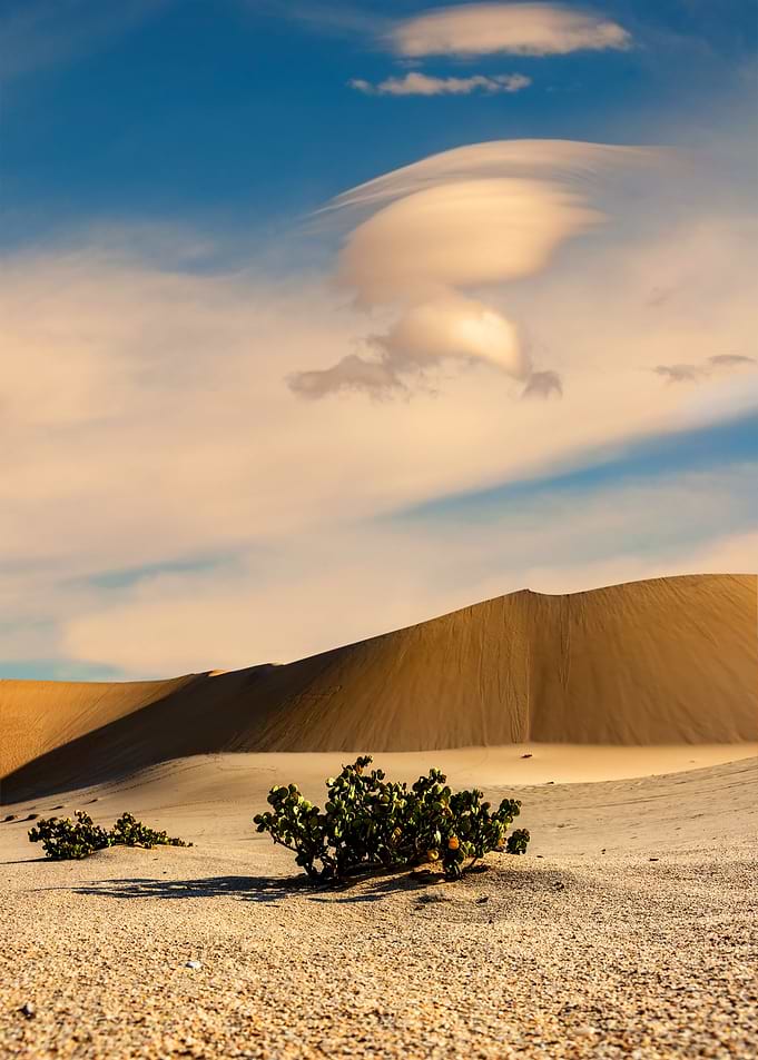 sand dunes
